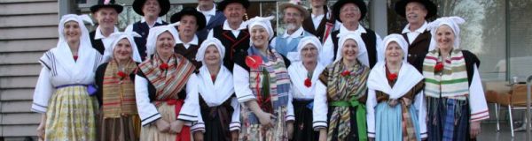 Območno srečanje folklornih skupin 