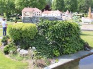 IMG_4424.JPG