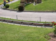 IMG_4477.JPG