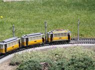 IMG_4573.JPG