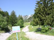IMG_4399.JPG
