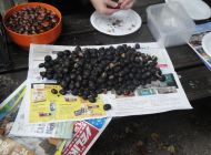 DSC06874.JPG