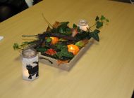 IMG_5469.JPG