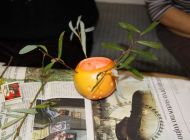IMG_5481.JPG