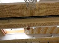 IMG_6884.JPG