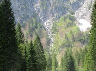 IMG_0397.JPG