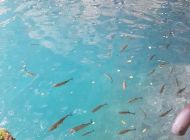 20160910_110225.jpg