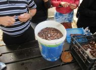 IMG_0501.JPG