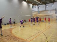 IMG_3684.jpg