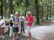 IMG_9686.jpg