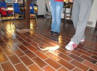 DSC01571.jpg