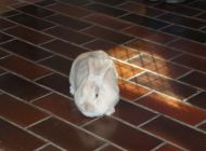 DSC01559.jpg