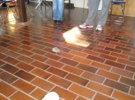 DSC01591.jpg