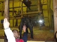 DSC01642.jpg