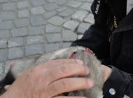 DSC01805.jpg