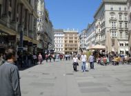 DSC02894.jpg