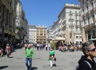 DSC02893.jpg