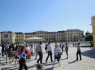 DSC02941.jpg