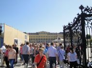 DSC02940.jpg