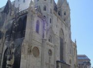 DSC02911.jpg