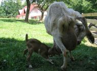 IMG_4287.jpg