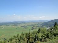 DSC03222.jpg