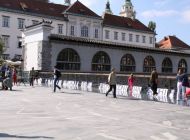 IMG_4887.jpg