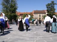 IMG_5660.jpg