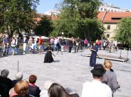 IMG_5481.jpg