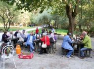 IMG_5882.jpg