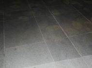 IMG_7741.jpg