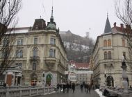 IMG_7830.jpg