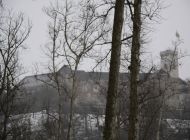 IMG_7774.jpg