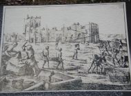 IMG_7781.jpg
