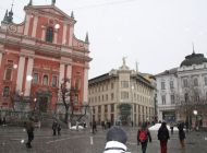 IMG_7817.jpg