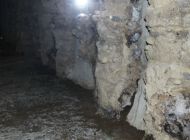 IMG_7761.jpg