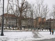 IMG_7723.jpg