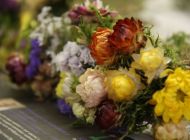 IMG_9603.jpg