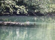 IMG_1613.JPG