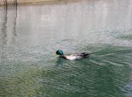 IMG_1647.JPG