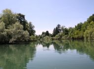 IMG_1612.JPG
