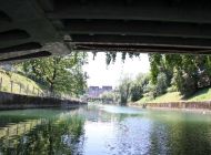 IMG_1584.JPG