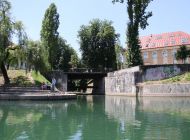 IMG_1633.JPG