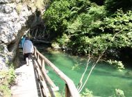 IMG_1916.JPG