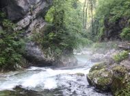 IMG_1808.JPG