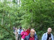 IMG_1778.JPG