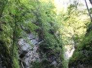 IMG_1820.JPG