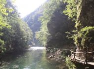 IMG_1854.JPG