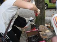 DSC06188.JPG